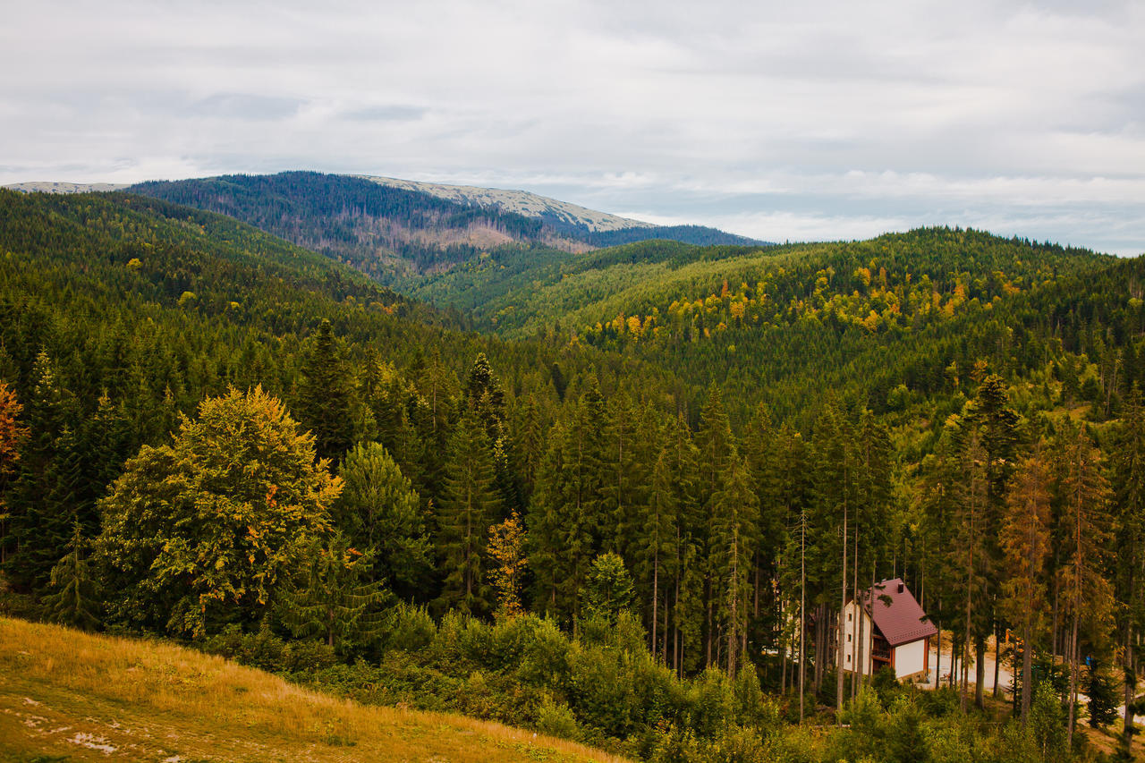 Karpatski Hotel & Spa Буковель Екстер'єр фото